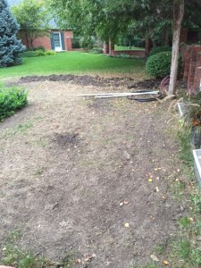 Front Yard Before 2