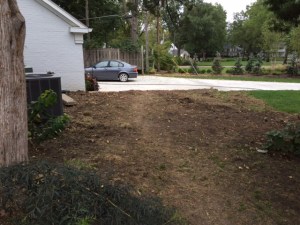 Front Yard Before 6